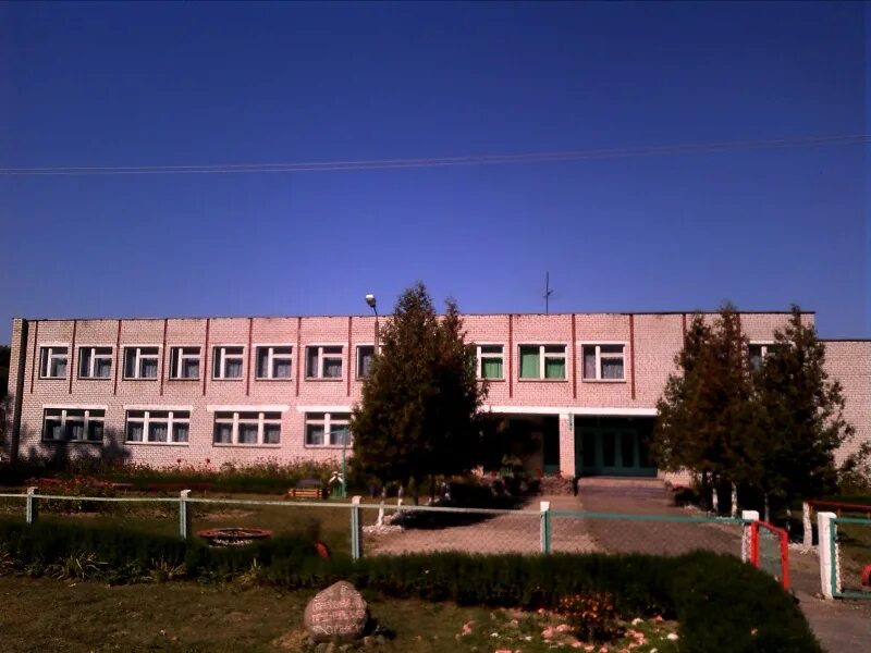Марковичи школа
