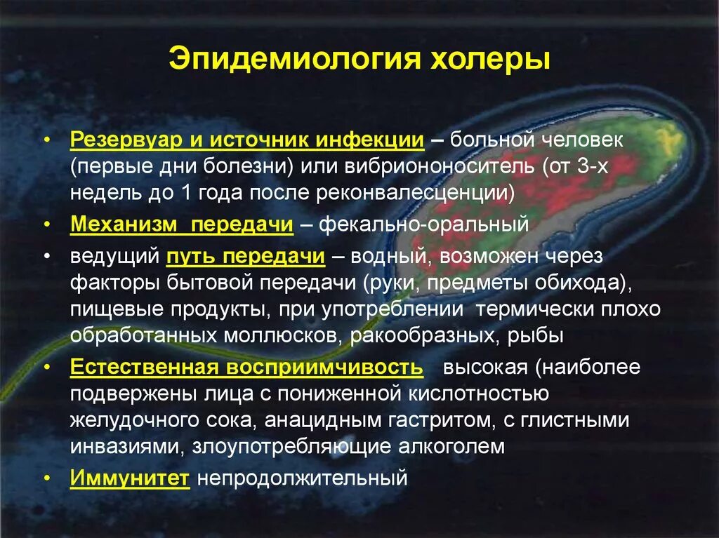 Источником инфекции при холере является. Холера эпидемиология. Холера эпидемиология источник инфекции. Эпидемиологическая характеристика холеры. Эпидемиологические особенности холеры.