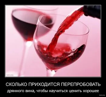 Не ее вина