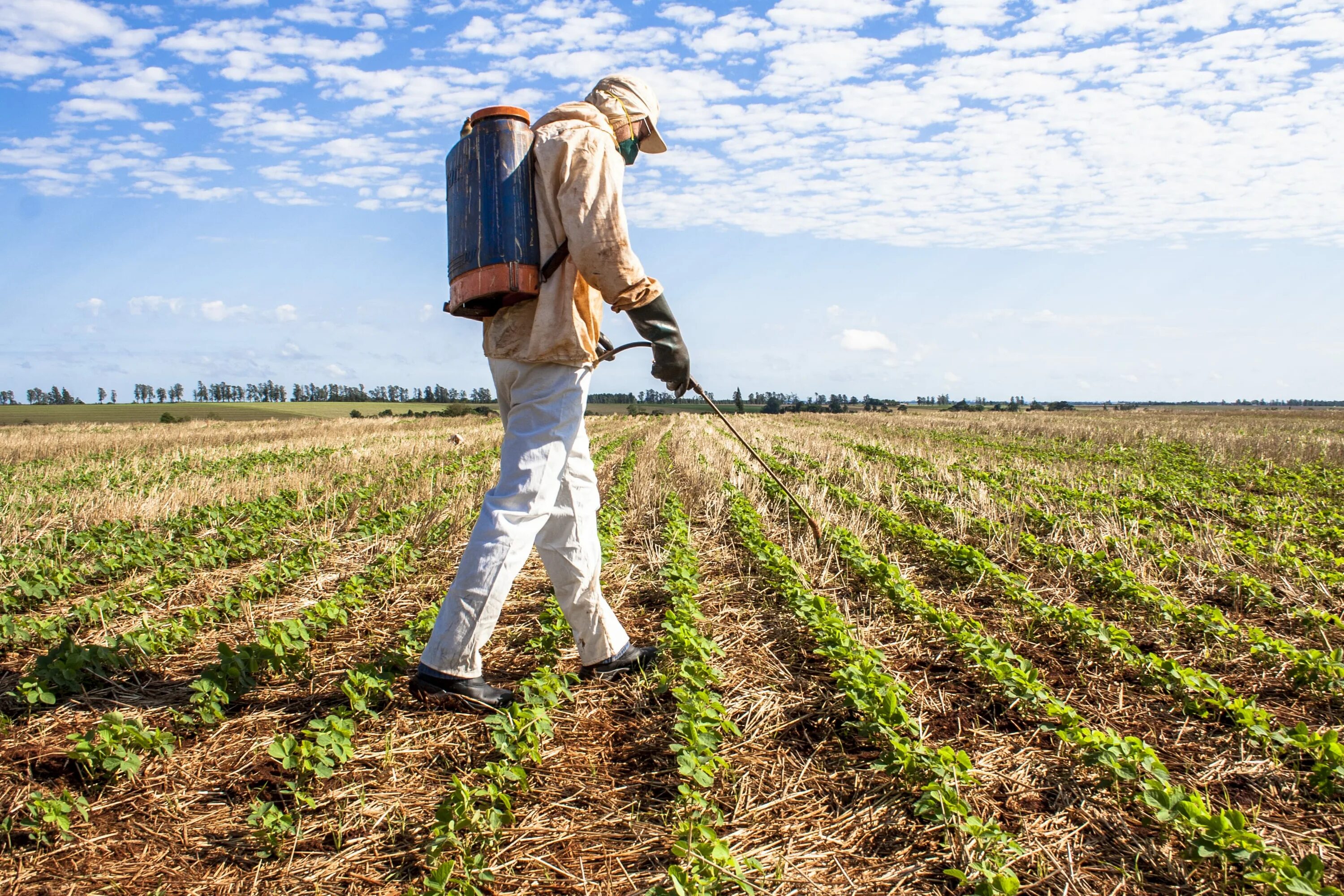 Agricultural spraying. Биологические основы сельского хозяйства. Химические удобрения и пестициды загрязнение воды. Pesticide. Field processing