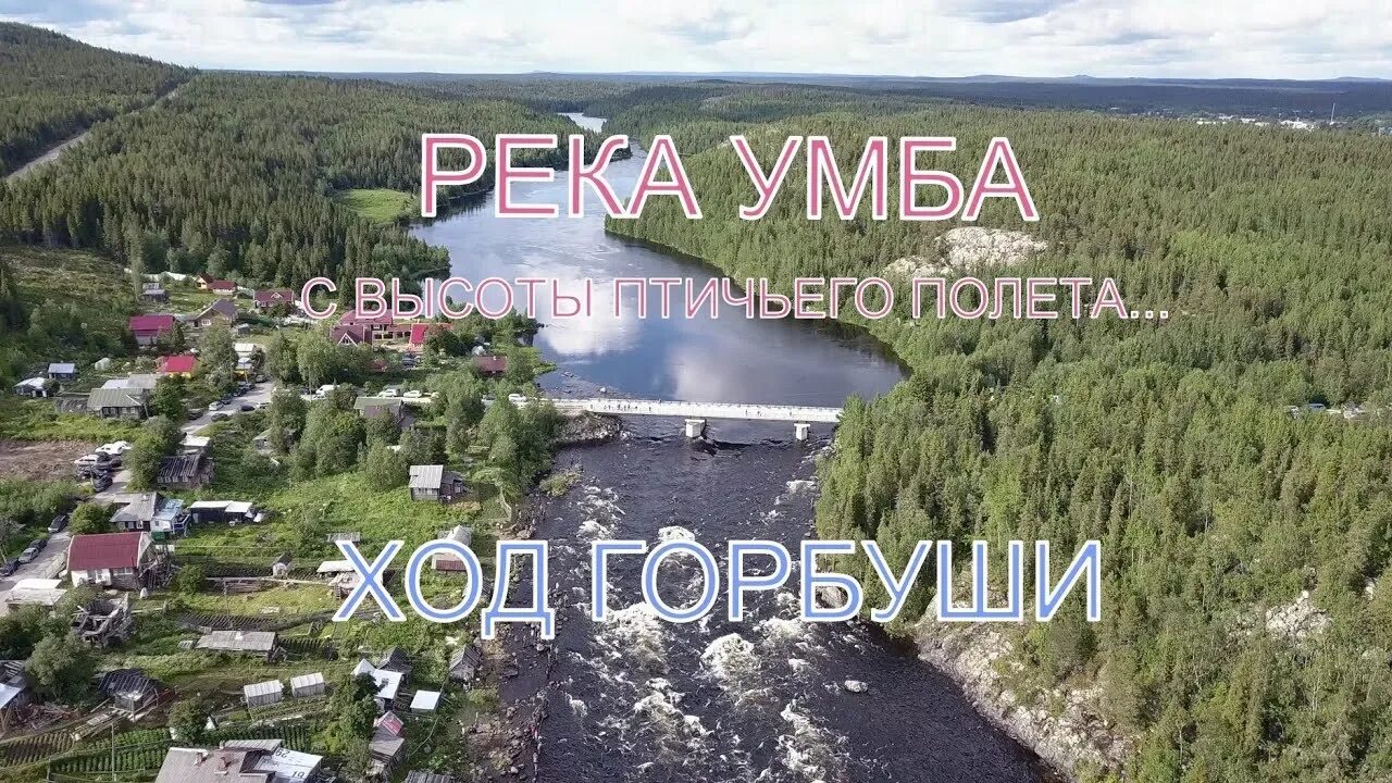 Объявления умба. Ловля горбуши на кольском полуострове. умба ход горбуши. умба рыбалка.