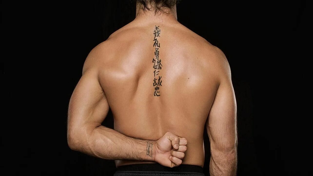 Вез на спине. Seth Rollins Tattoo. Сет Роллинс тату. Тату сета Роллинса. Спина сета Роллинса.