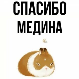 Имя медна
