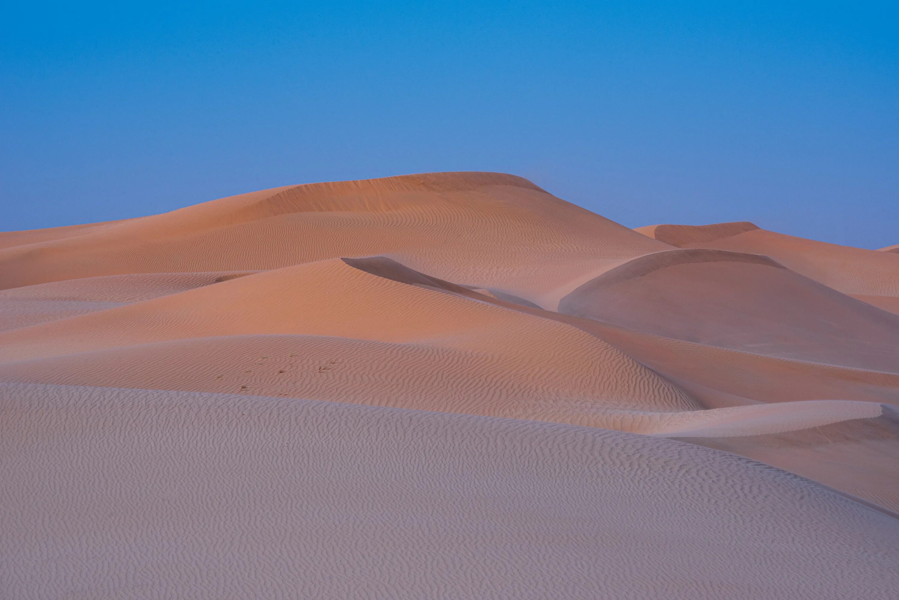 Дюна пустыня. Дюны в Абу Даби. Дюны и Барханы. Пустыня Атакама дюны.