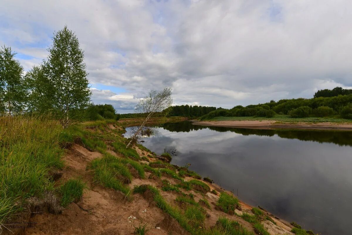 исток реки луга в ленинградской области. река луга реки ленинградской области. река луга название. река волгуша. река луга волосовский район.