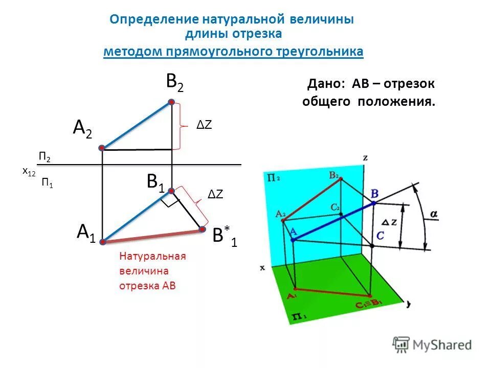 Определение натуральной величины отрезка прямой общего положения. Действительная величина отрезка. Натуральную величину отрезка ef определяет проекция. Проекции треугольника начертательная геометрия. Определение натуральной величины отрезка прямой общего положения.