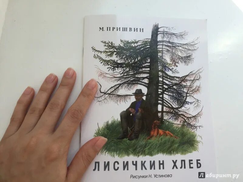 Лисичкин хлеб читать полностью с картинками. Лисичкин хлеб читать полностью с картинками