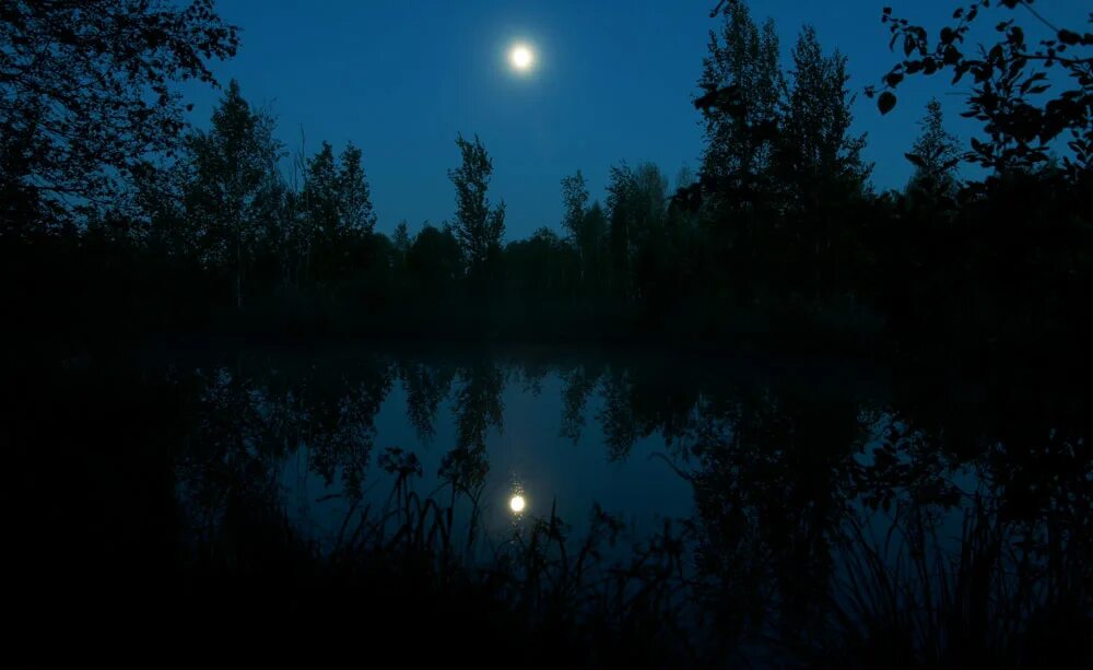 Ночное озеро. Озеро ночью. Лесное озеро ночью. Озеро в лесу ночью.