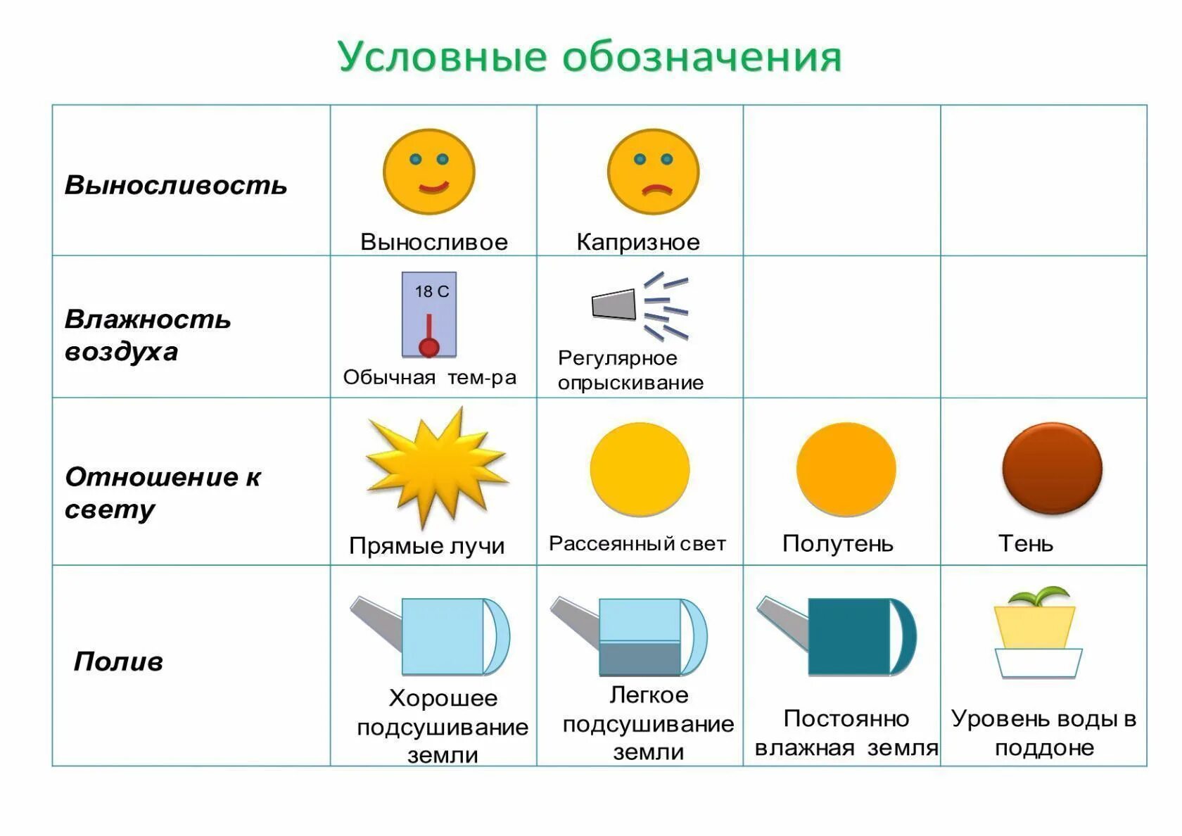 Условные обозначения для паспортизация комнатного растения.