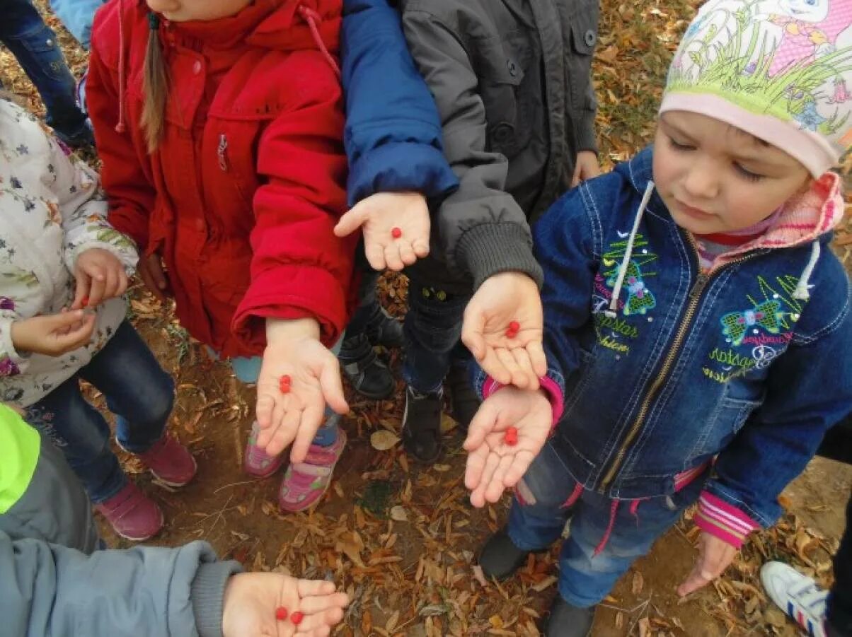 Прогулка с детьми в старшей. Дети на прогулке в детском саду. Наблюдение с детьми на прогулке. Дети наблюдают за природой. Дети наблюдают на прогулке.