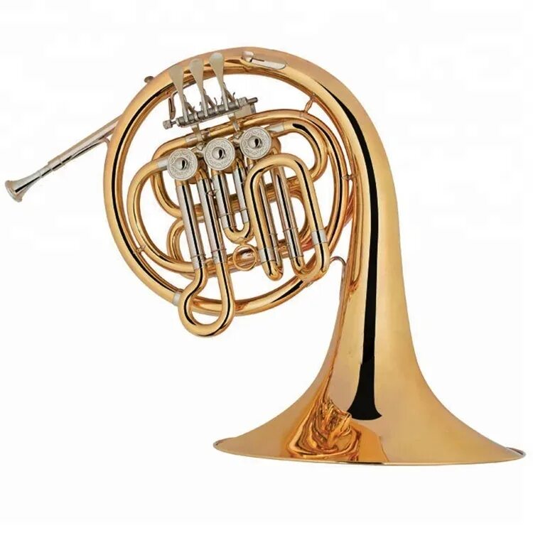 Тромбон фагот валторна. French horn музыкальный инструмент. валторна музыкальный инструмент. валторна духовой музыкальный инструмент. валторна и гобой.