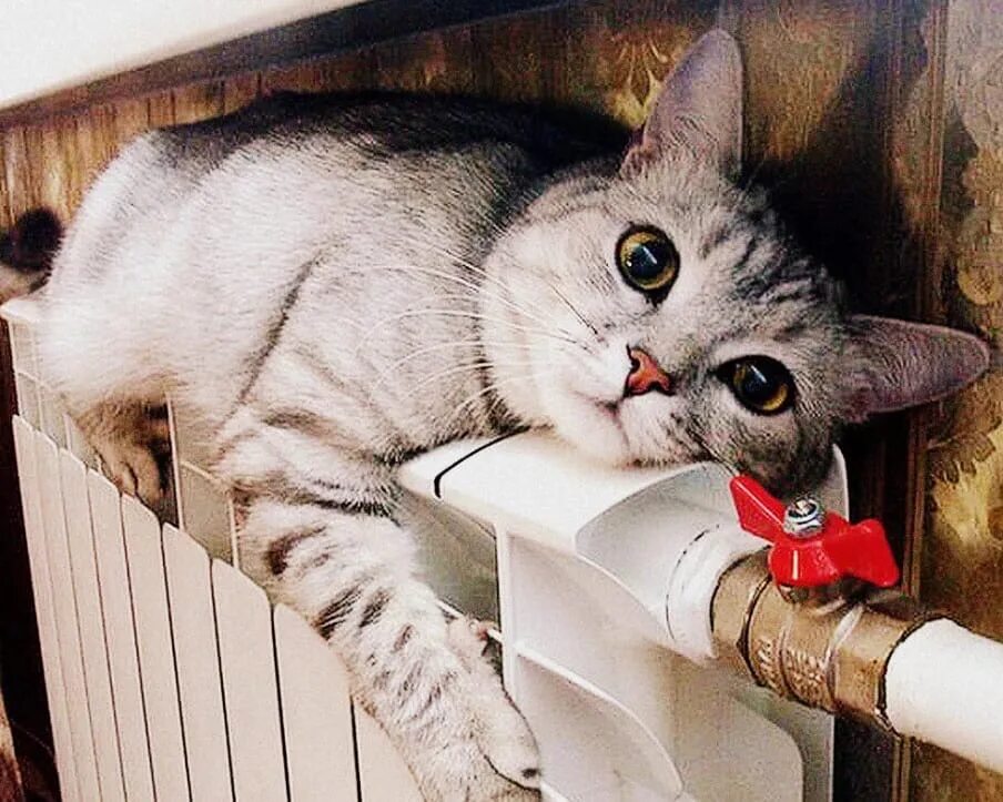 Включи юмор