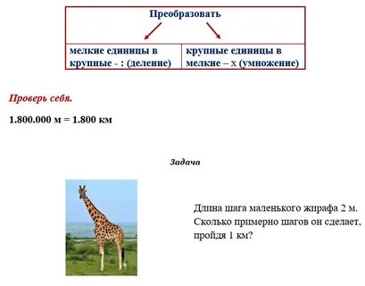 Определи примерную