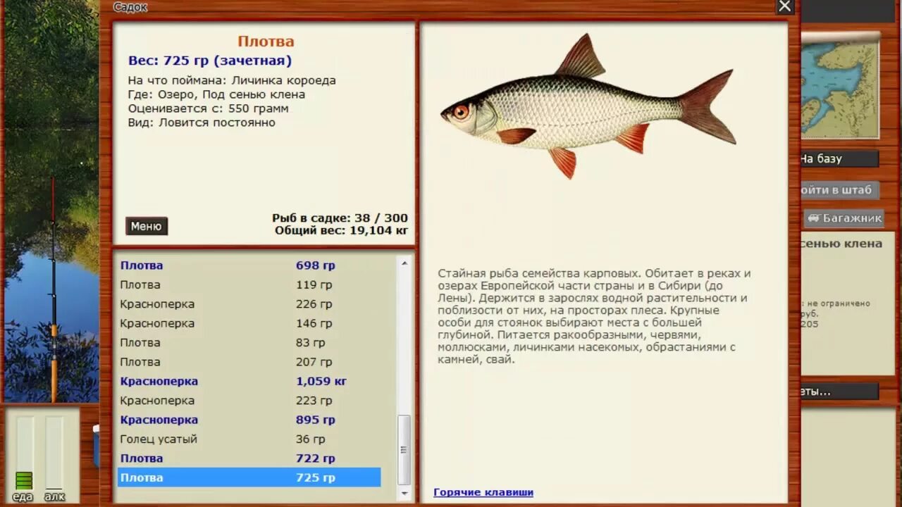 Русская рыбалка 3 щука. Хариус восточносибирский. Рыбалка где ловить форум. Рыбалка где ловить форум. Рыбы из игры русская рыбалка 3.