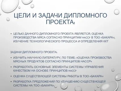 В данном дипломном проекте