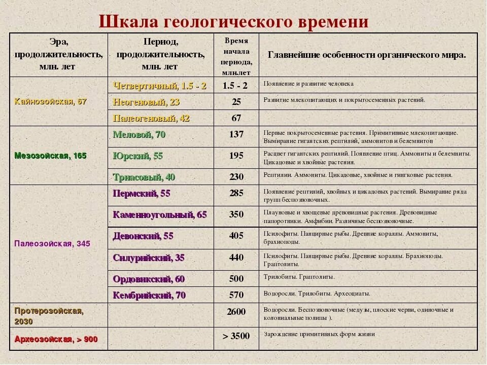 Инфографика к новому году. Ростовка елок искусственных. Хронология ели. Ростовка елок искусственных. Хронология ели.