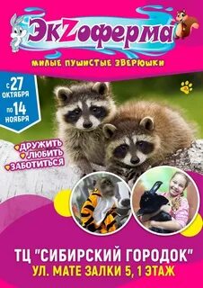 Выставка животных бийск созвездие