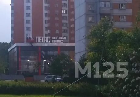 Пегас изварино