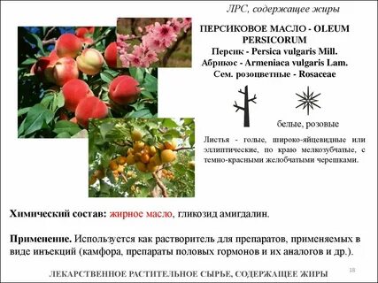 Лекарственным растительным сырьем называют