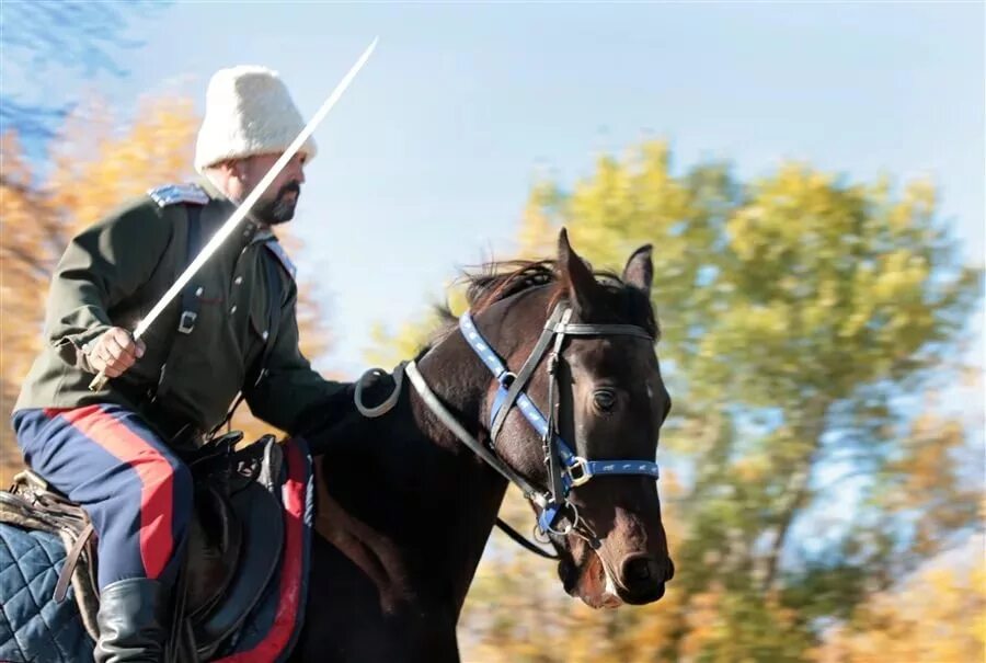 Казачья община "донские казаки". Шашка казачья донская 1917. Донской казак на коне с шашкой. Тихий дон кино 2015. Казаки пластуны 19 век.