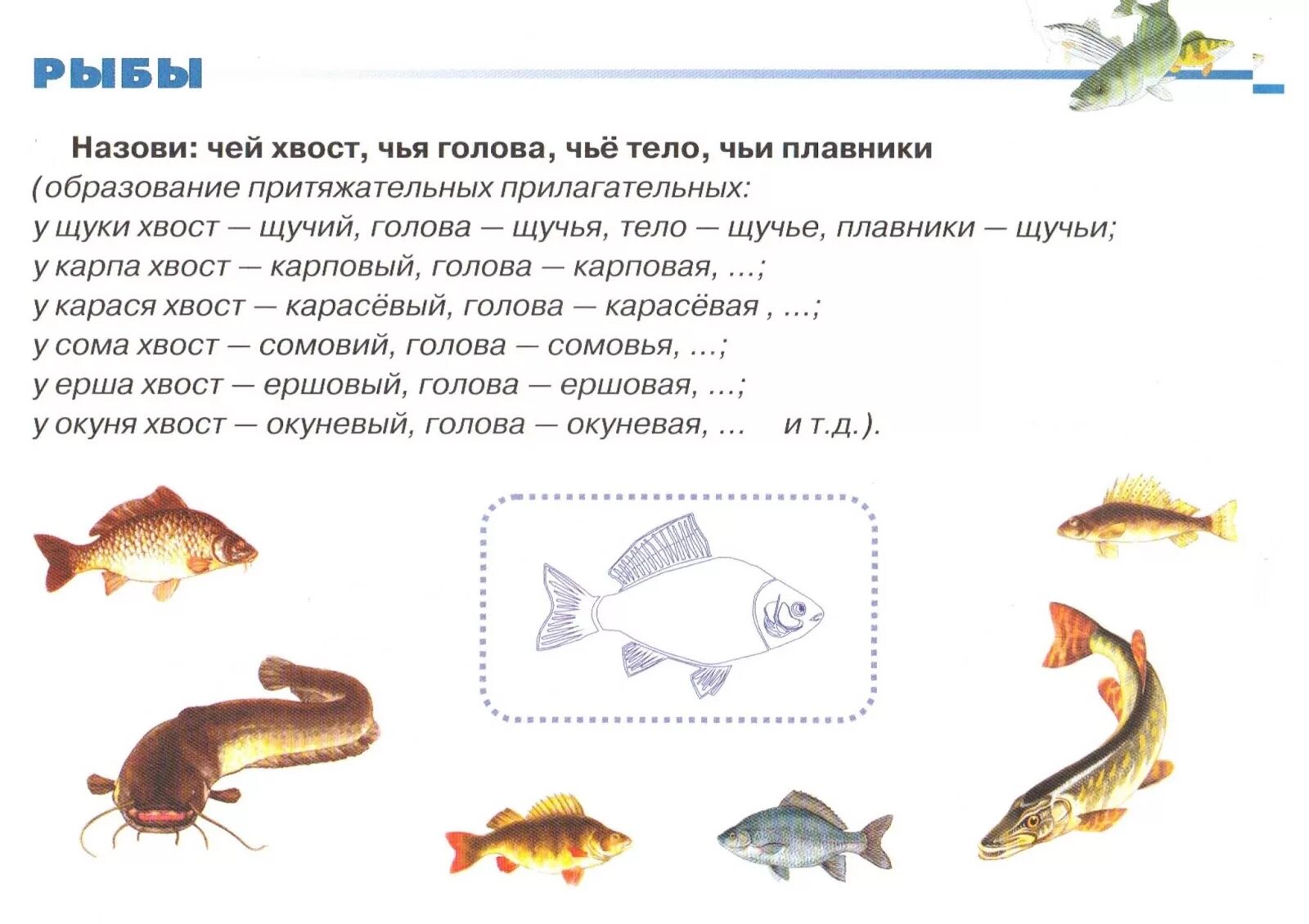 Задача про хвосты