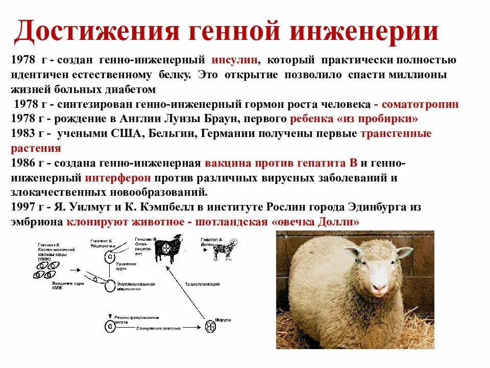 Селекция в животноводстве