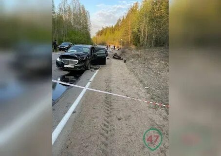 Сбитый мерседесом