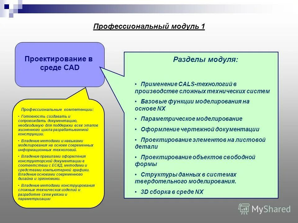 Программа профессиональных модулей