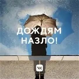 Всем ветрам назло