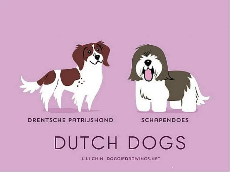 Wanna be your dog. Лишний вес у собаки. Where is your dog. Кормление собак крупных пород. Now i wanna be your dog.