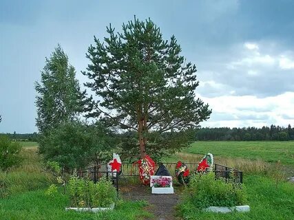 Погода в заозерье гатчинского