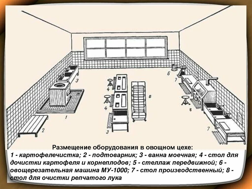 Организация рабочего питания. Схема цехов предприятия общественного питания. Схема размещения овощного цеха. Овощной цех на предприятии общественного питания схема. Схема производственного цеха на предприятии общественного питания.