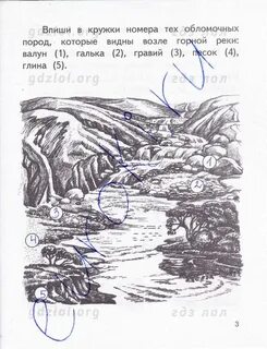 Впишите в кружки