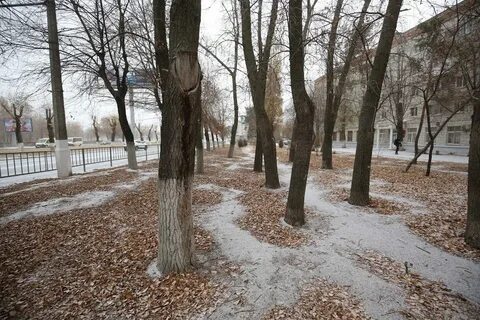 Похолодание волгоград