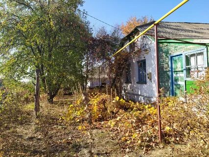Алексеевка тамбовская область