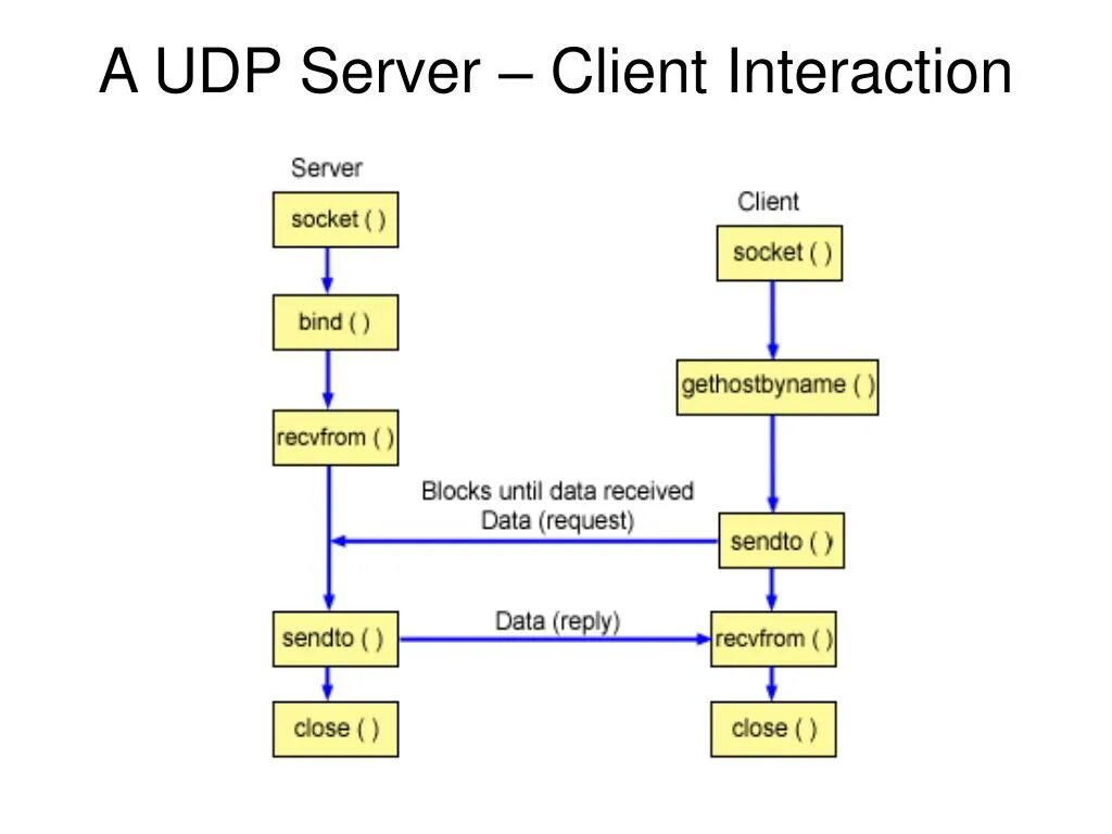 Server client program. Server client program