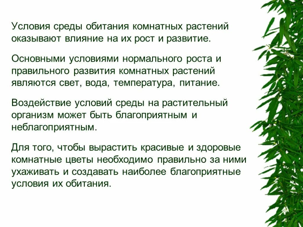 Какие дополнительные условия необходимы для правильного развития. Влияние условий среды на растения. Условия для растений. Благоприятные условия для жизни растений. Условия жизни комнатных растений.