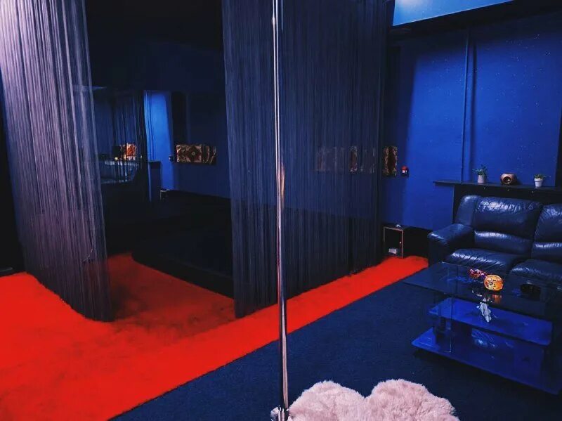 Ласка вологда. Тобольский горностай. Средство для стирки черных вещей. Животные тундры горностай. Ласка и выдрочка салон.