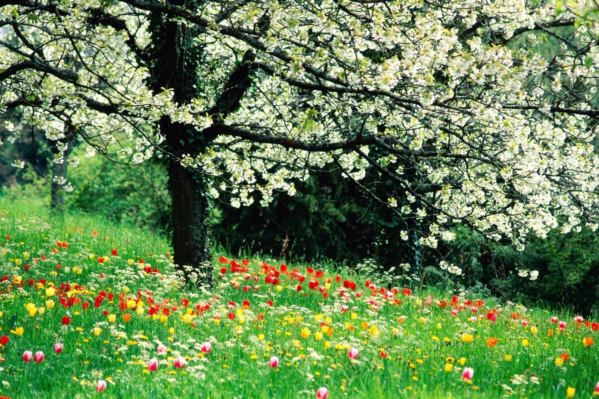 Springtime