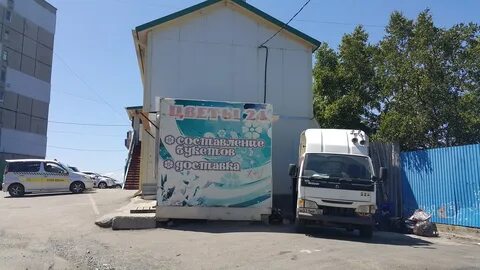 Орион владивосток