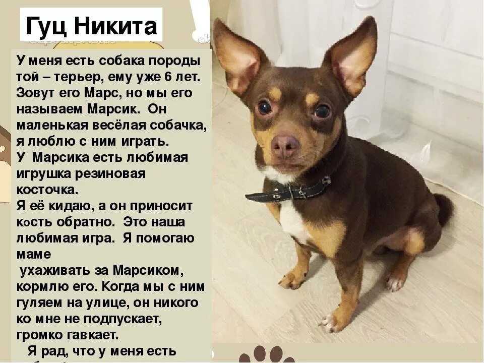 Мою собаку какая она. Мою собаку какая она. Мою собаку какая она. Маленький рассказ про собаку. Мою собаку какая она.