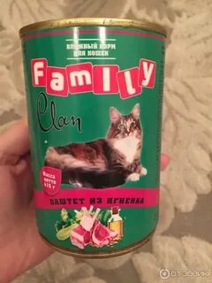 Clan для кошек сухой