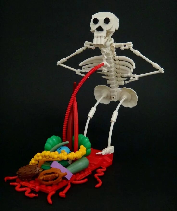 Фигурка шляйх скелет. Игрушка со скелетом. Костяк для куклы. Игрушка со скелетом. Игрушечный скелет.