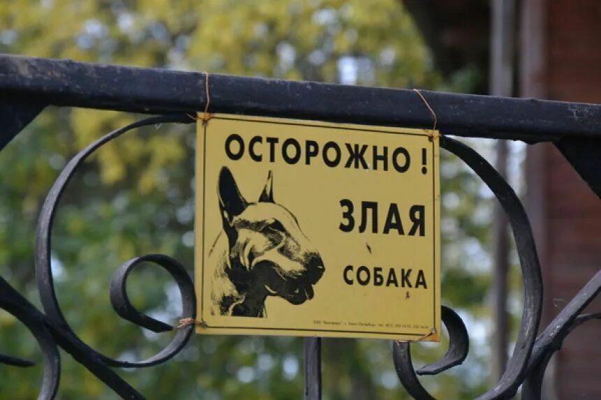 Зоопорно в россии запрещено. Осторожно, злая собака!. Осторожно злая собака на заборе. Табличка "злая собака". Табличка осторожно злая собака.