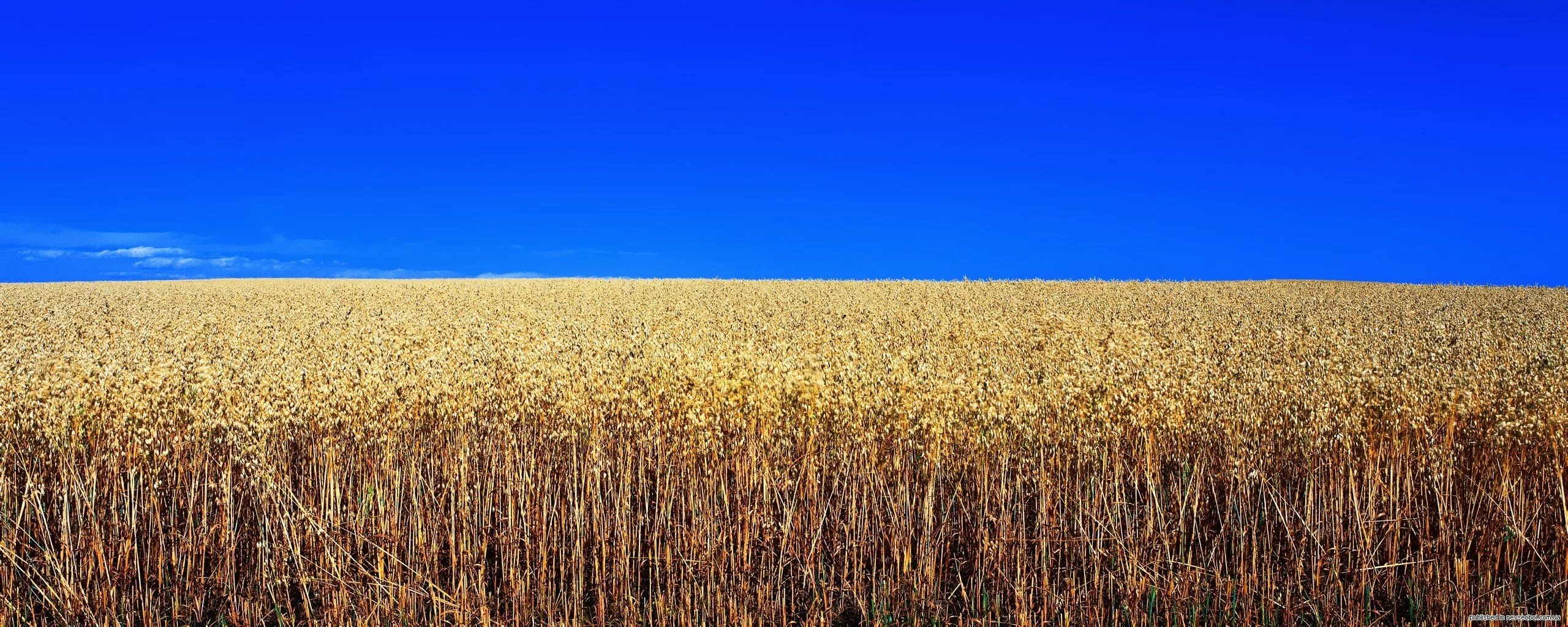 Кф поля
