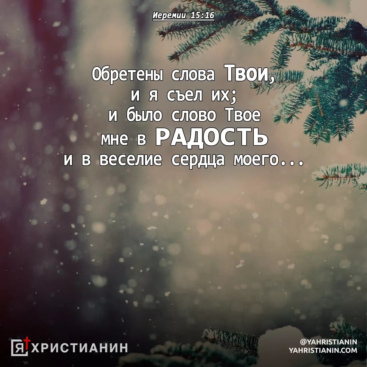 Слово обрести что означает. Найти слова среди букв. Иеремия 17 глава. Найди заимствованные слова земля. Слова любые слова.