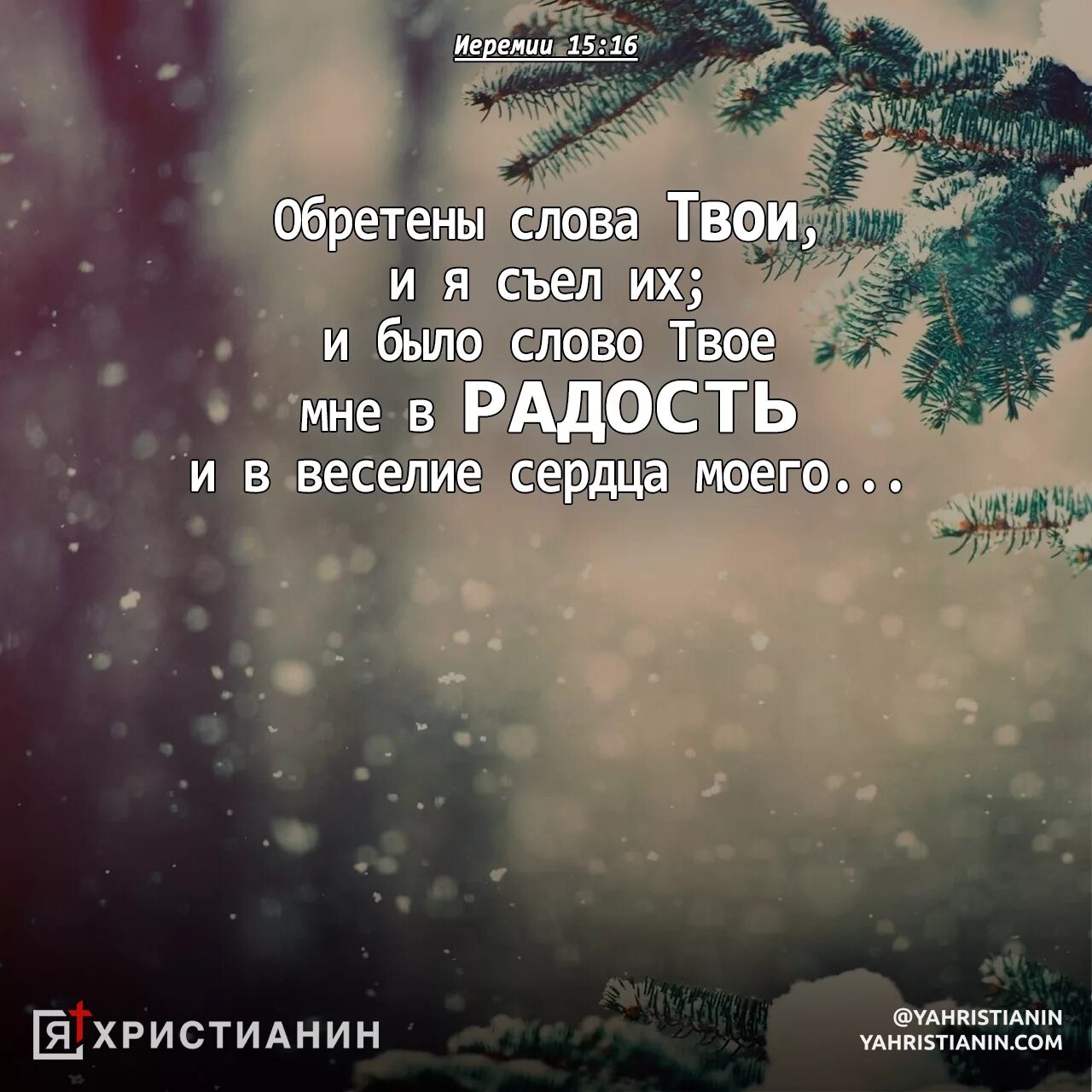 Варианты слова обретение. Иеремия 17 глава. Библия Иеремия глава 33. Иеремия 7;;;;. Пророк Иеремия слова.