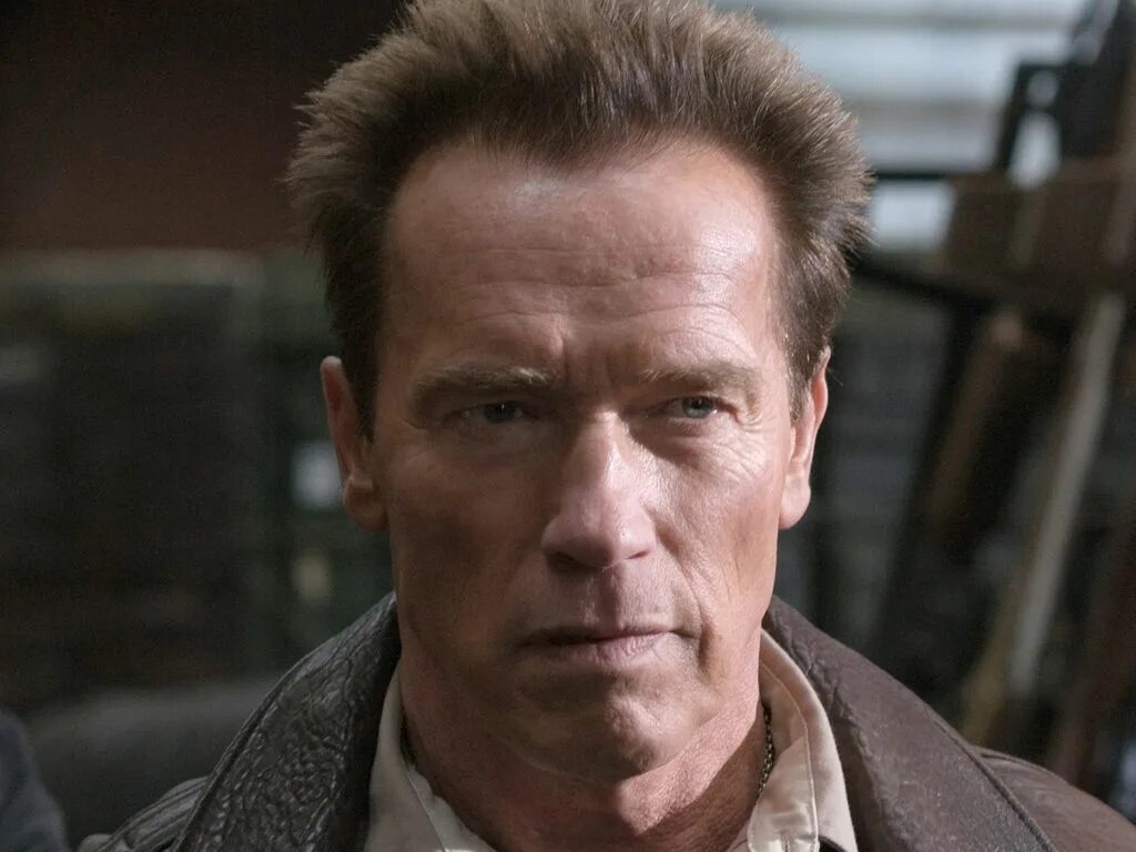 Возвращение героя дата. Шварценеггер Возвращение героя. Arnold Schwarzenegger Возвращение героя.