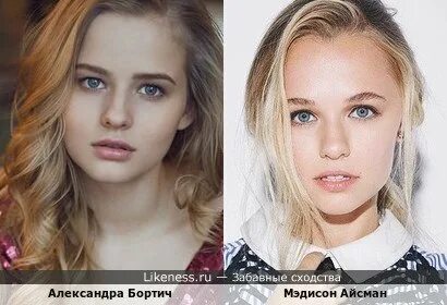 Шпица и бортич