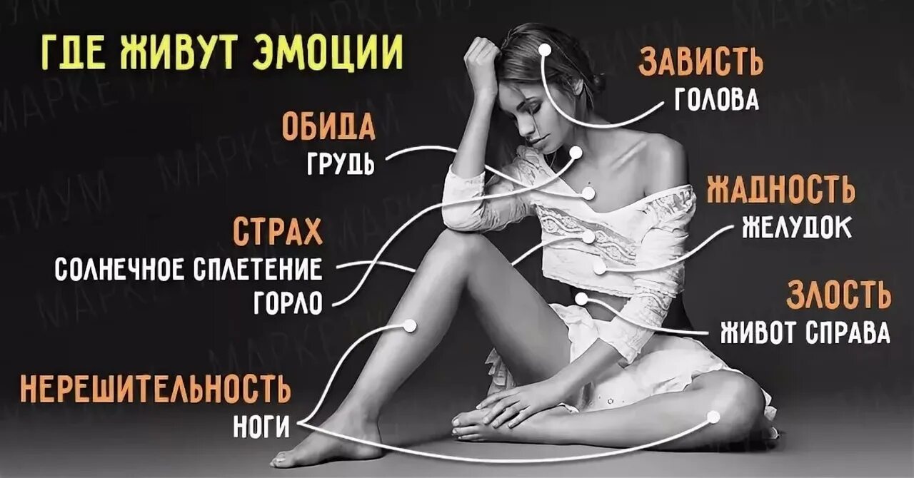 Как называется когда не испытываешь эмоций